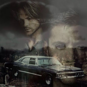 Meet your Posher, Chy